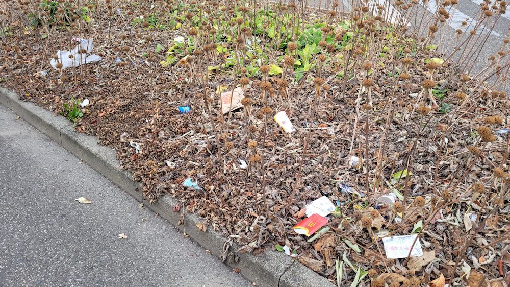 Müll in Verkehrsinseln