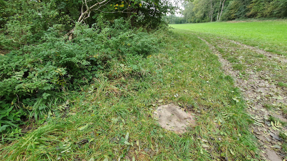 Abwasserkanal im Landschaftsschutzgebiet