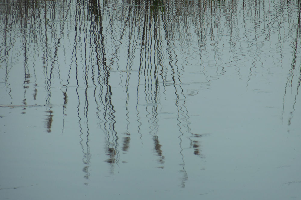 Waghäusel Wasserspiegelung F. Handel