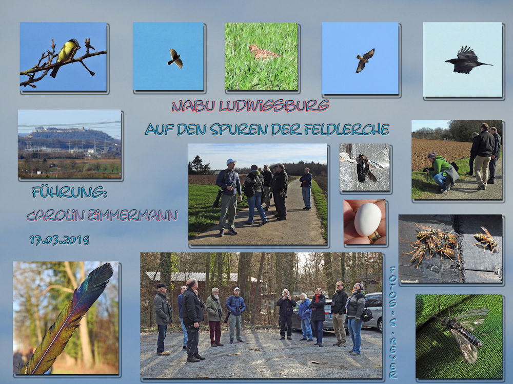 Foto und Collage: S. Beyer