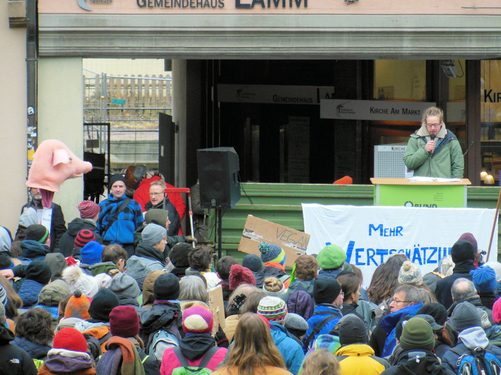 Abschlusskundgebung auf dem Marktplatz, Foto F. Handel