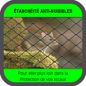 Étanchéité anti-nuisibles
