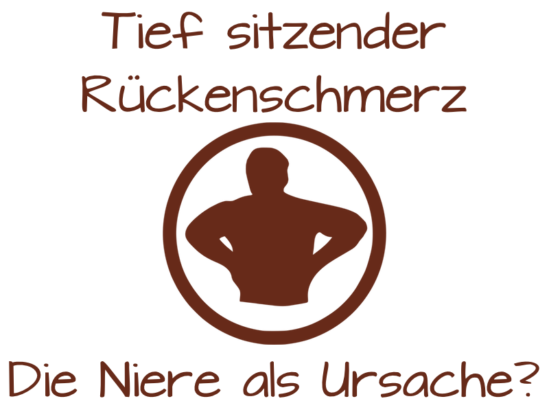 Tief sitzender Rückenschmerz, die Niere als Ursache?