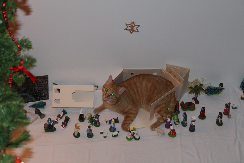 Atis Chat Gozilla! Installé dans la crèche!