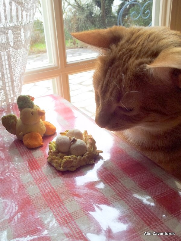 J Aime La Chatte Et Le Paté J'aime la pâte à sel! - Site Jimdo de atis-chaton!