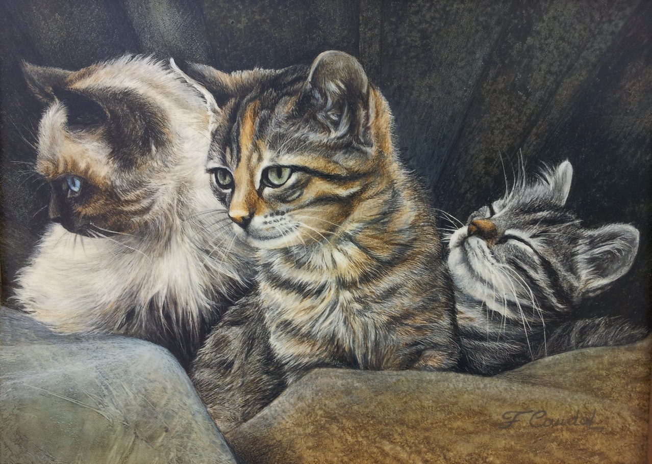 Le Chat dans l'Art Site Jimdo de atischaton!