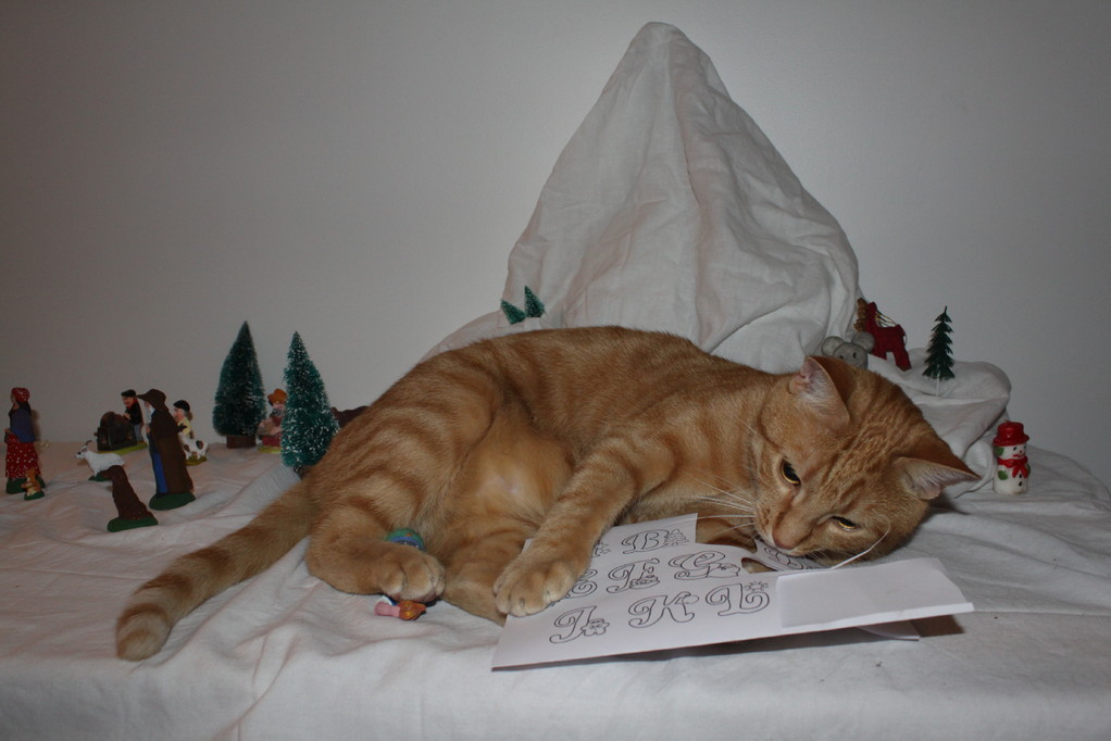 Atis aime les décorations de NOël 2011