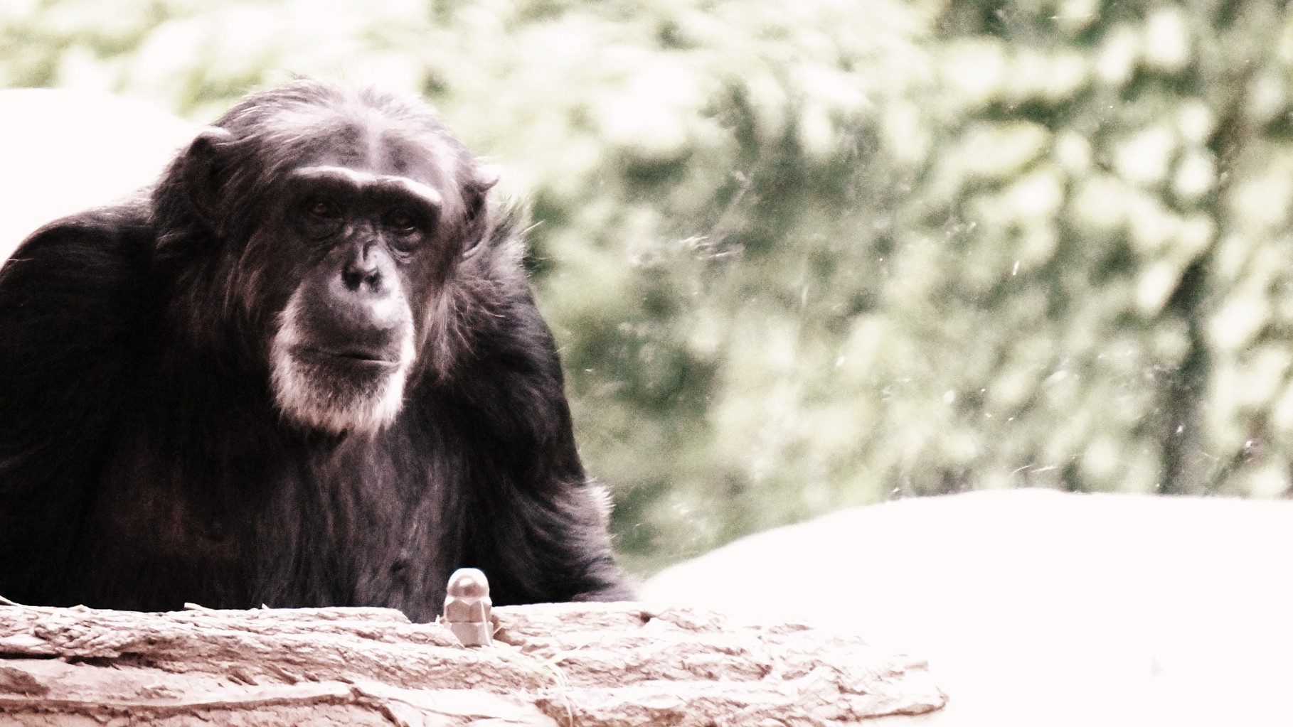 Karlsruher Zoo 2014