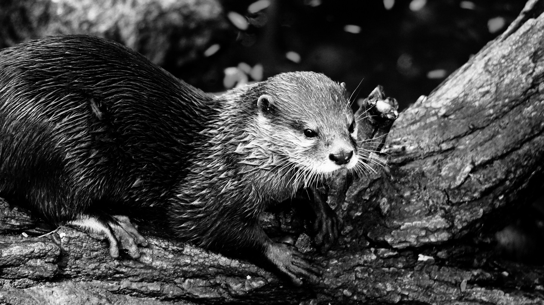 Karlsruher Zoo 2014