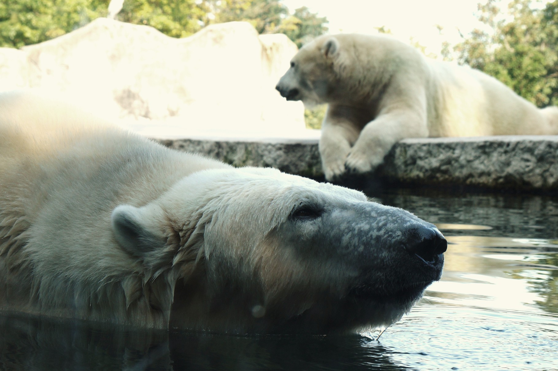 Karlsruher Zoo 2014