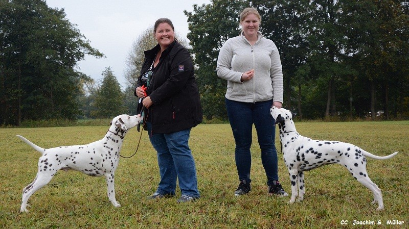 Somora´s Juniper Dream (Jun) & Somora`s Jambalaya Secret (Pai) Geschwister rocken die Jugend Klasse in Tremmersdorf beide mit V1 Anw. J.Ch. VDH/Club