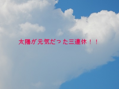 太陽が元気だった三連休！！