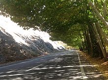 Road 59 (Chalous Road)