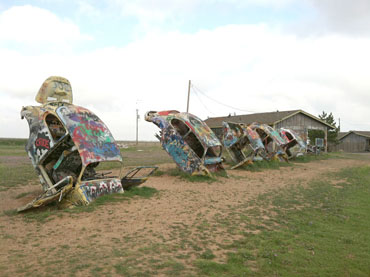 Bug Ranch