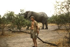 Im Chobe Nationalpark, Botswana