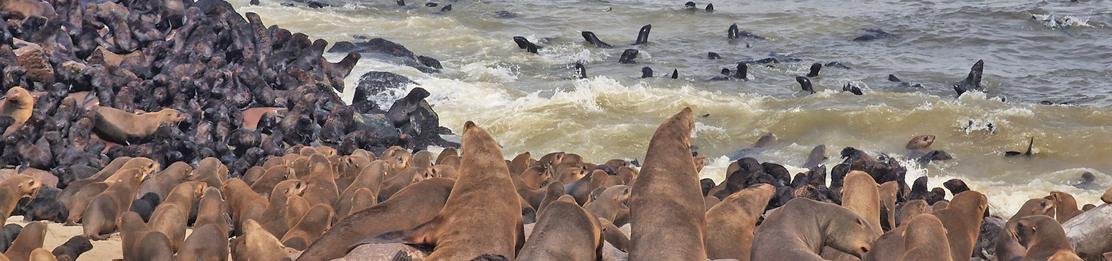 Cape Cross, Namibia