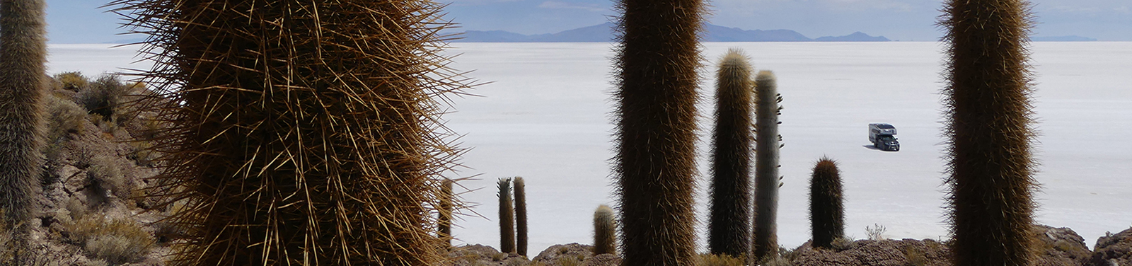 Isla Incahuasi, Salar de Uyuni, Boöivien