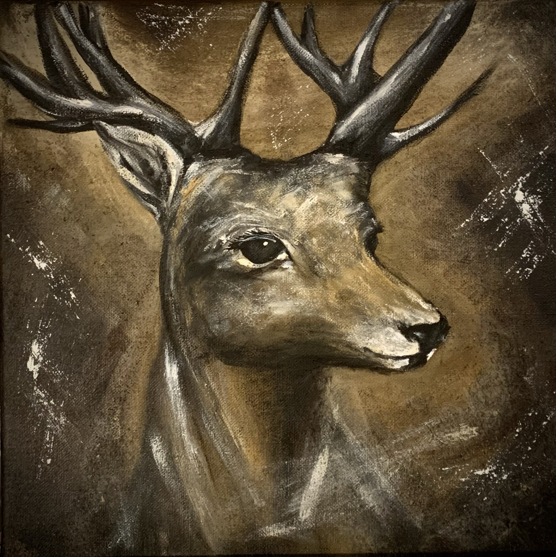 Deer (50 x 50 / Acryl auf Natur-Leinwand)