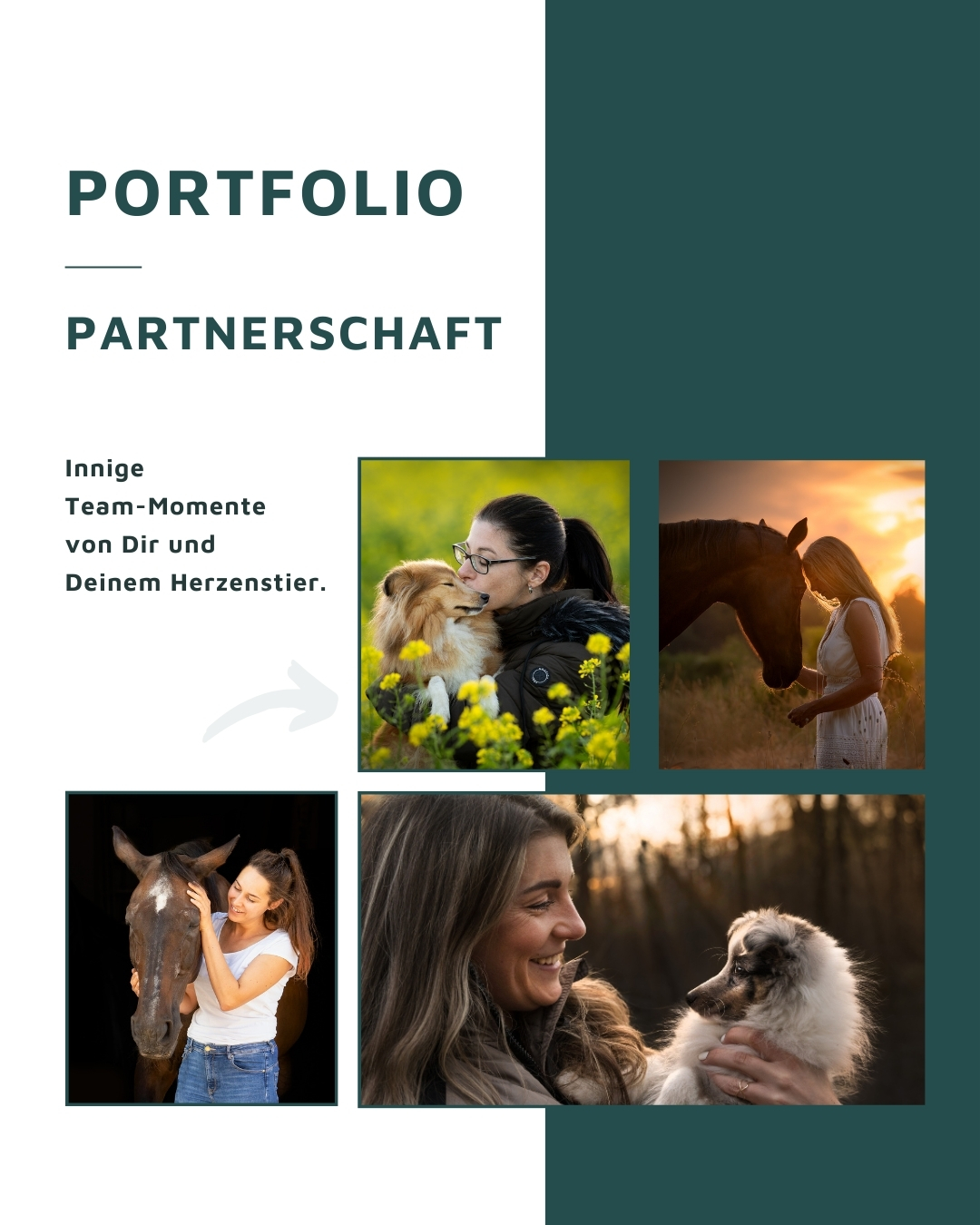 Portfolio Partnerschaft: Innige Team-Momente von Dir und  Deinem Herzenstier. Andrea Obele Hunde- und Pferdefotografie