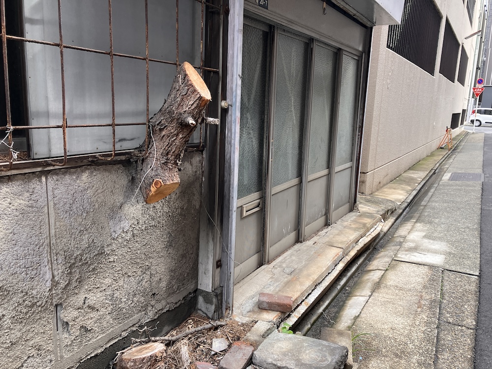 カニの記録 140