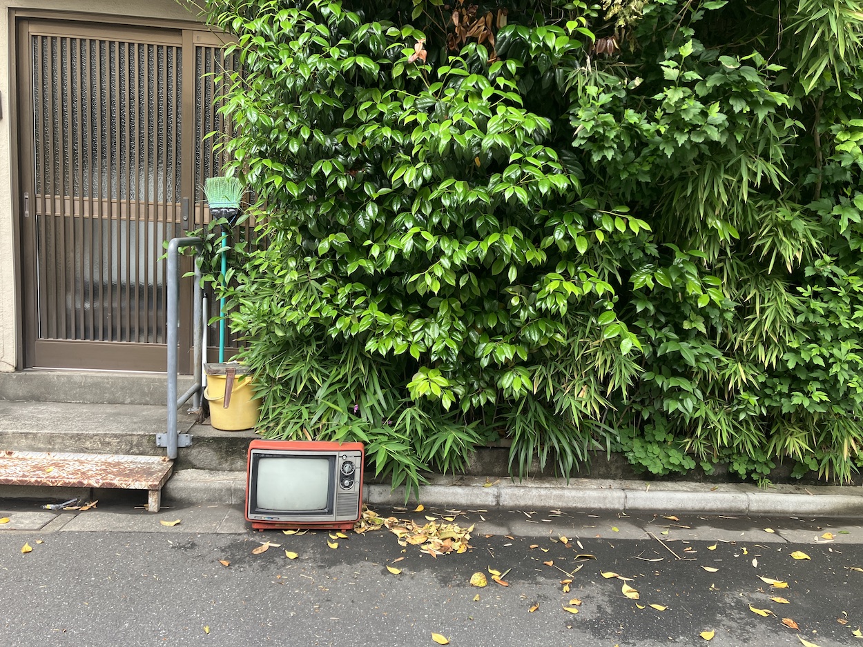 カニの記録 101