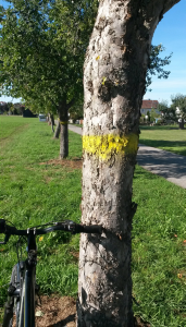 (Bild: NABU / Hans-Jürgen Dieterle)