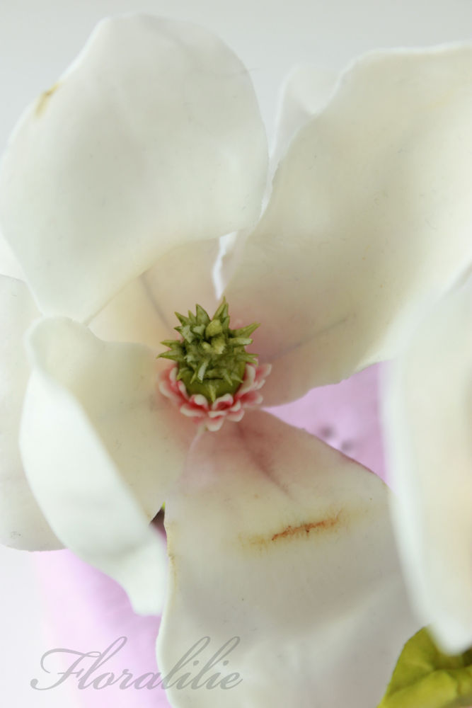 Zucker Magnolie | Floralilie Sugar Art