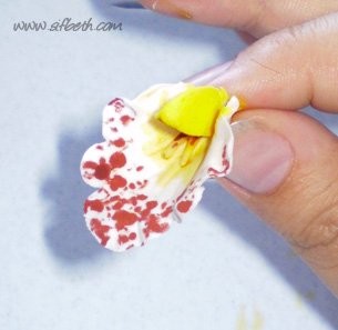 Gumpaste Cymbidium Orchid Tutorial Floralilie Sugar Art