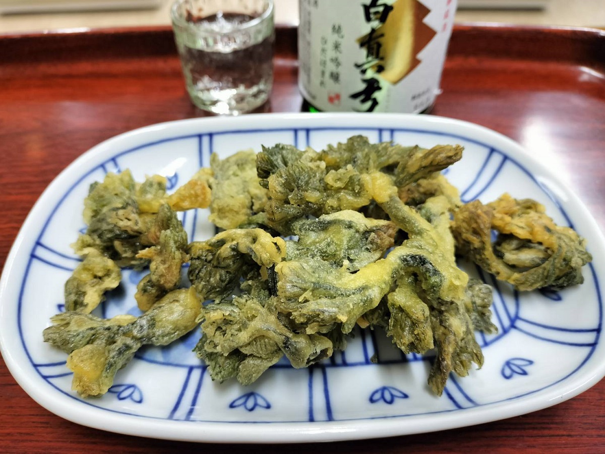 タラの芽の天ぷら × 白真弓 純米吟醸 ひだほまれ