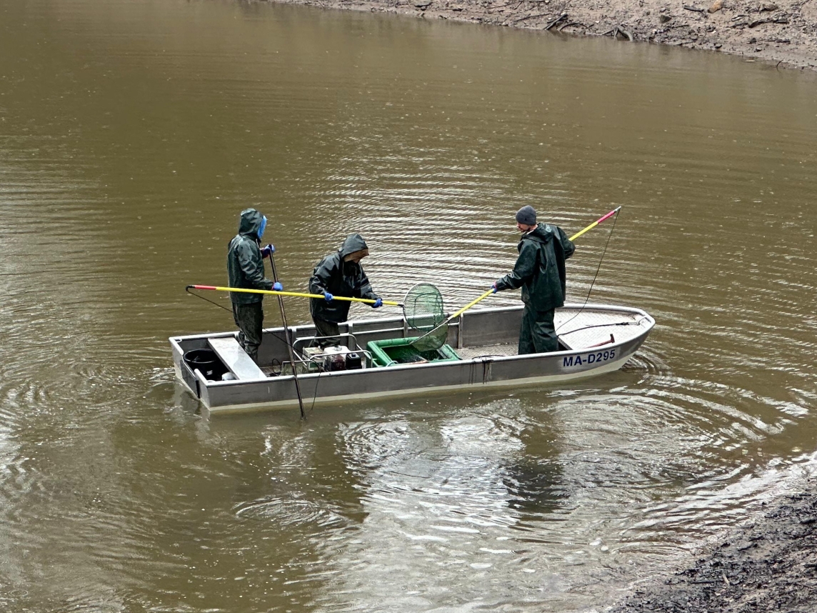 Fischerei mit Stellnetzen