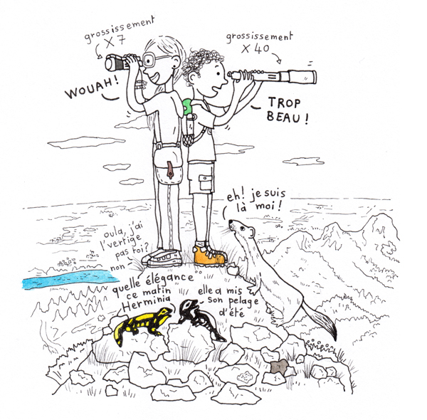 Une des 20 illustrations du quiz