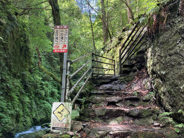 散策路の階段は急なので注意