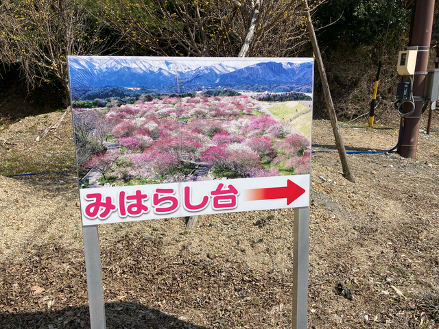 みはらし台へ