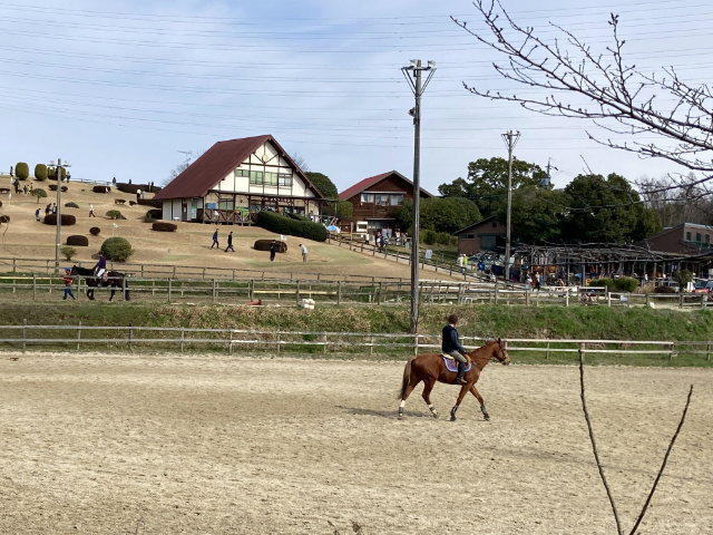 乗馬クラブも併設