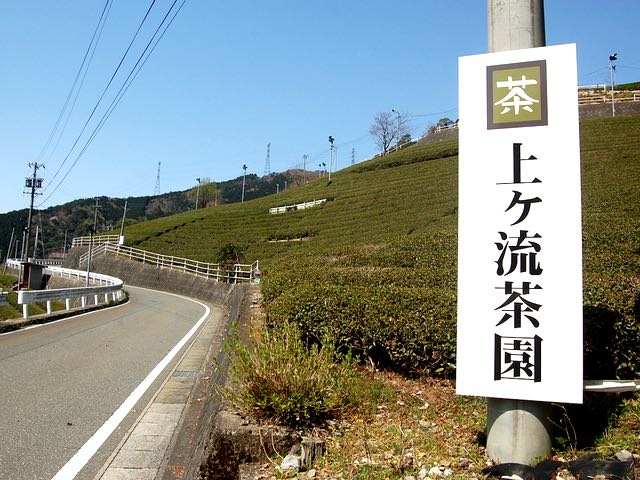 上ヶ流地区は江戸時代から続く茶の産地
