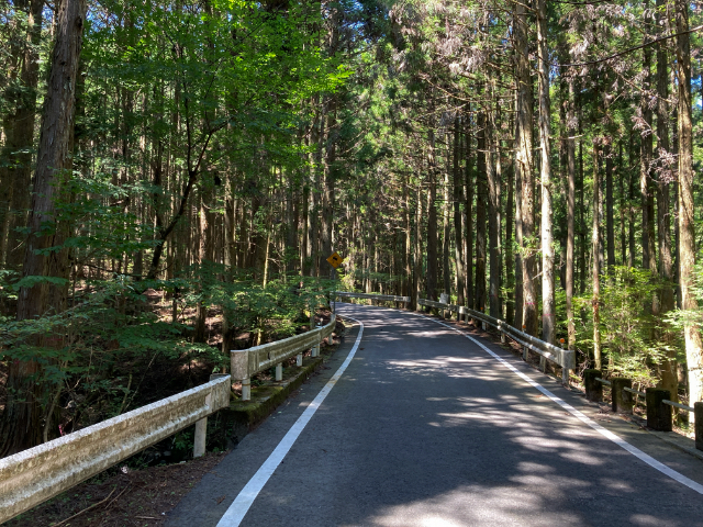 県道80で茶臼山高原道路へ