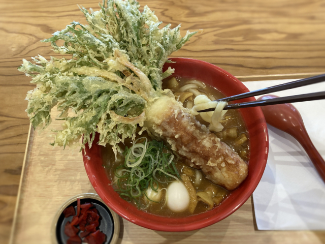 豊橋カレーうどん