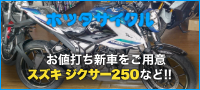 ホッタサイクル