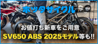 ホッタサイクル