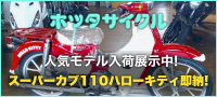 ホッタサイクル