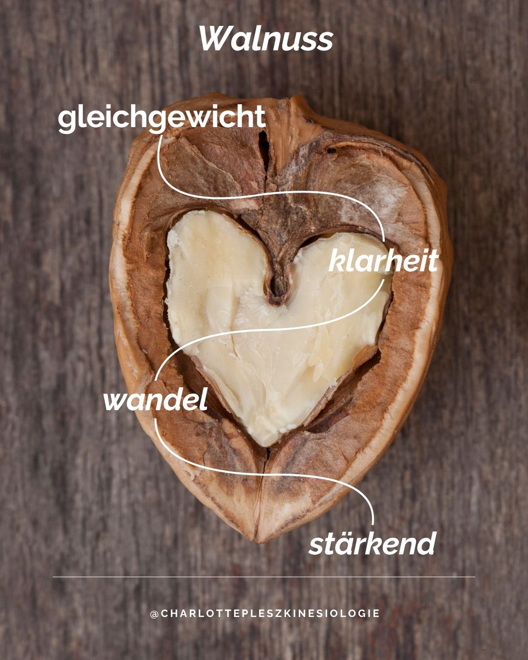 Die spirituelle Essenz der Walnuss: Warum sie mehr als nur eine Nuss ist