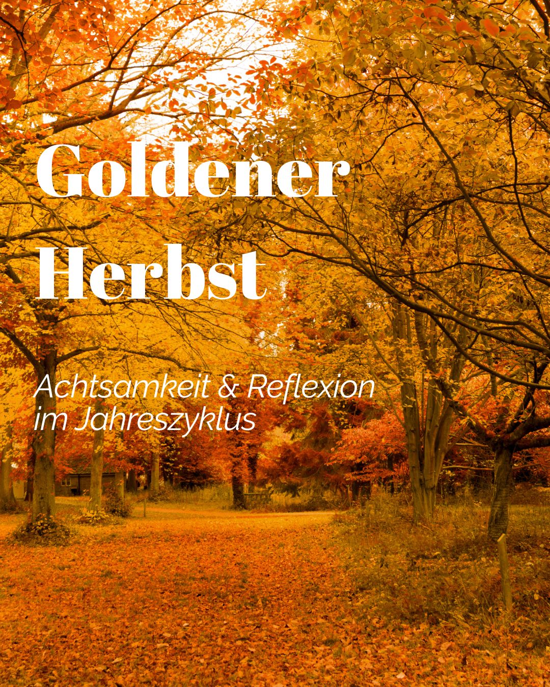 Goldener Herbst – Zeit des Loslassens, der Selbstliebe und inneren Balance