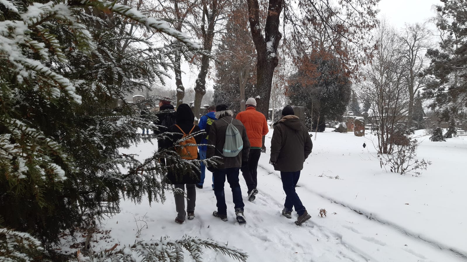 Stunde der Wintervögel im Arboretum: Erfolgreiche Vogelzählung des NABU Vogtland