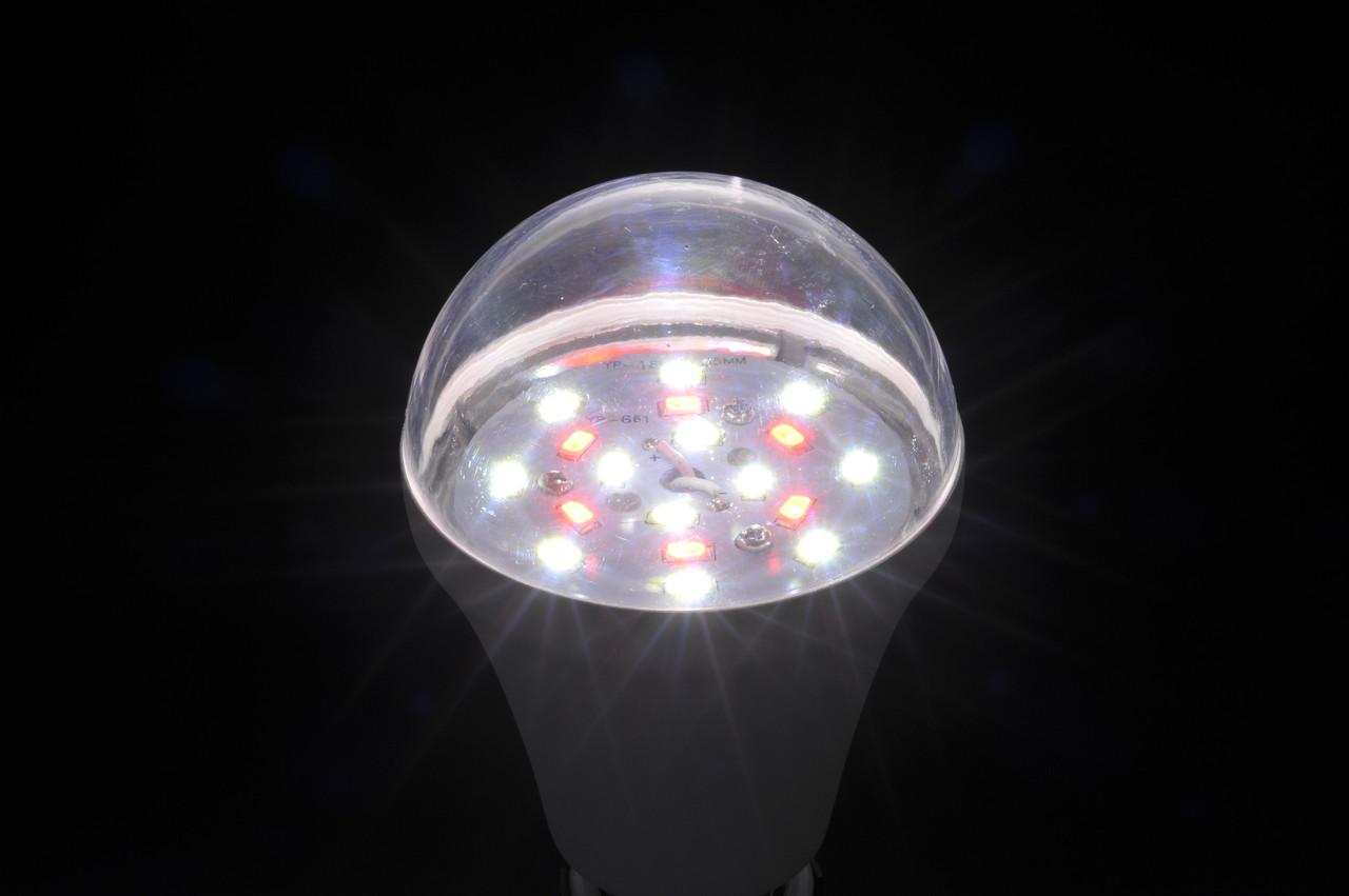 商品注文 農業用 植物栽培 水草育成用led電球のアスター株式会社