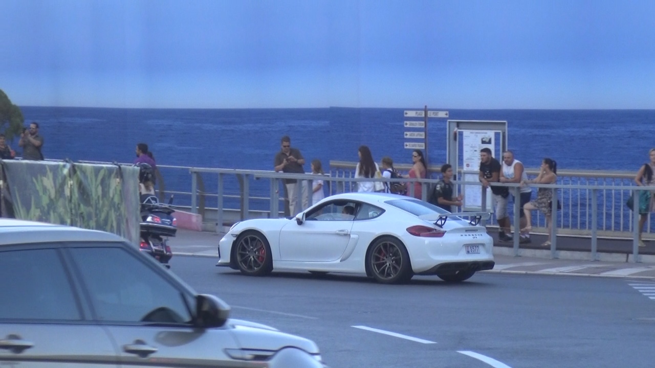 Porsche Cayman GT4 - S577 (MC)
