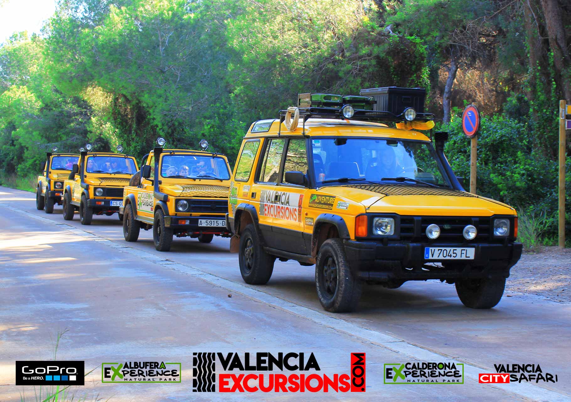 Tour in Albufera