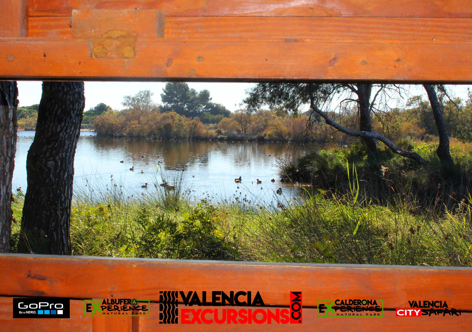 Birdwatching in Albufera Experience. Photos and Videos included with an awesome jeep tour in Valencia www.valenciaexcursions.com