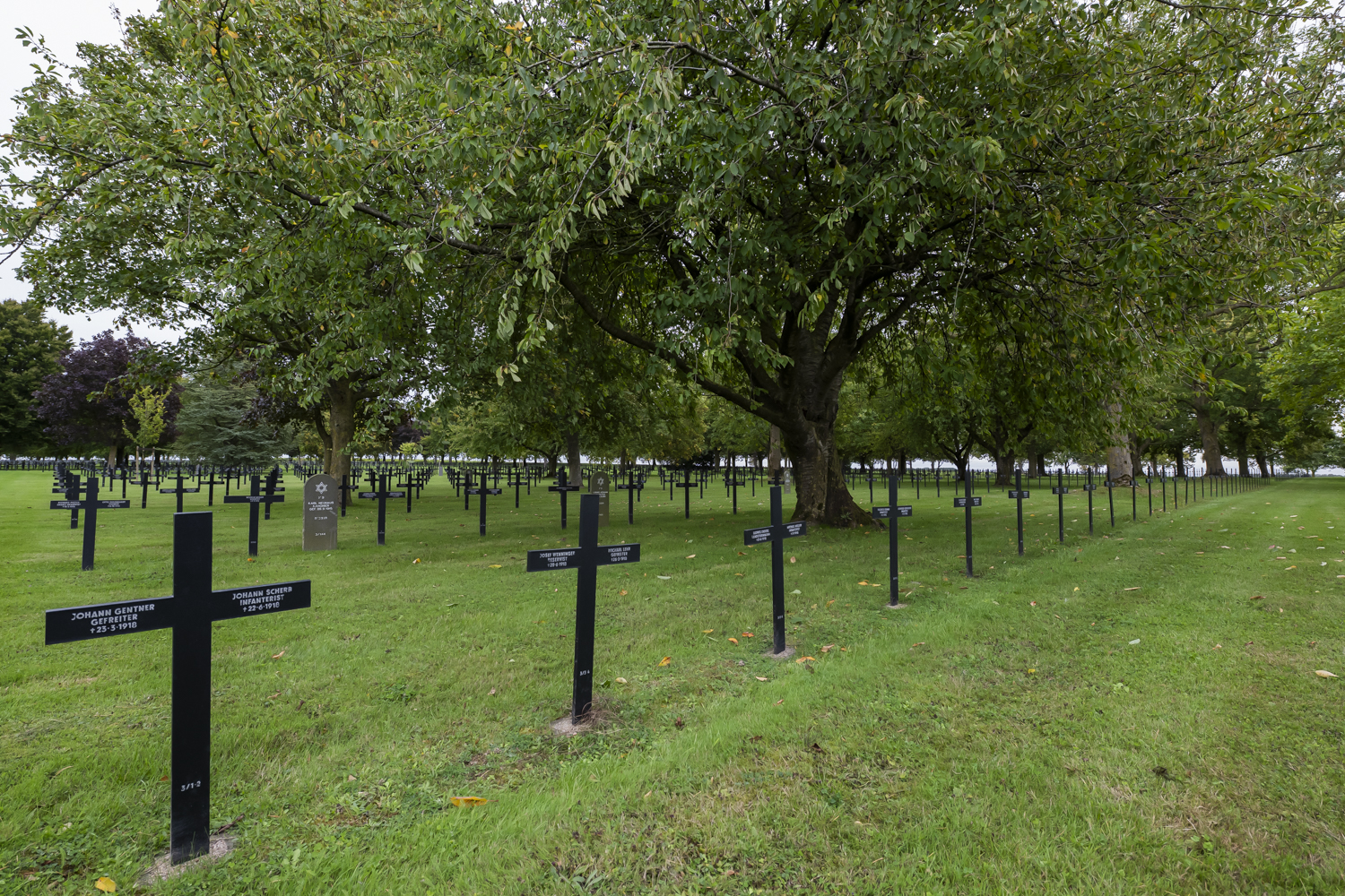 Kriegsgräberstätte Neuville-Saint-Vaast