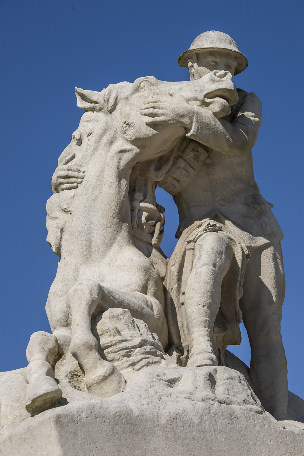 Pferde an der Western Front - Horses on the Western Front