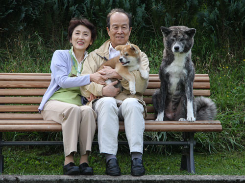 © Akita Zucht "of Büt Yama" | Abschied von Chihiro Hachi